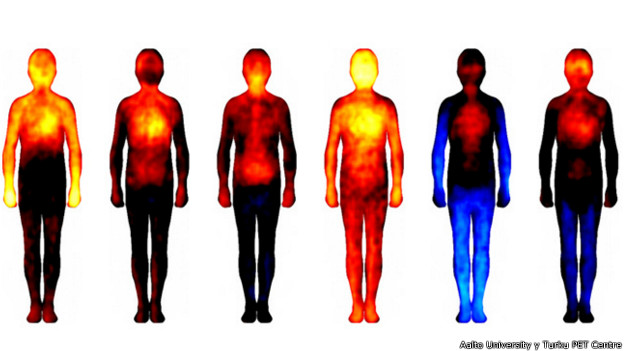 Nuevos mapas de la distribución de las emociones por el cuerpo humano
