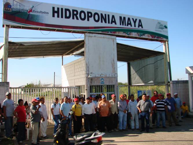 CTM: Gandalla, Trabajadores bloquean instalaciones de Hidroponí­a Maya