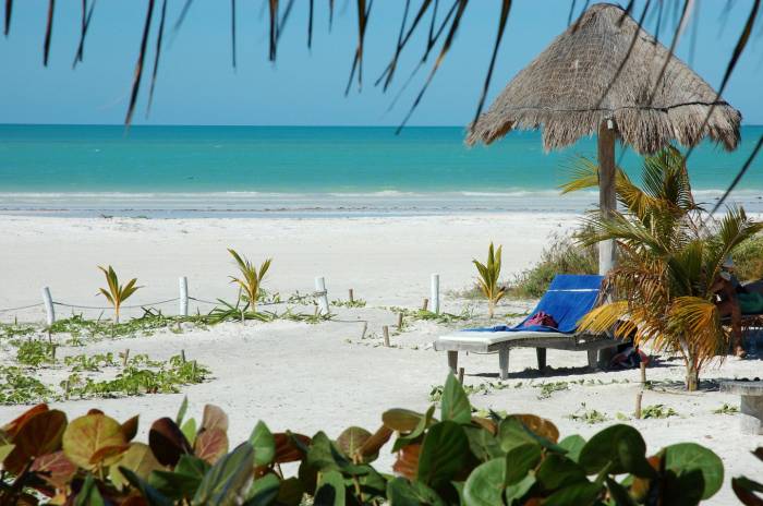 Quintana Roo: Retoman proyecto hotelero en plena polémica por Holbox
