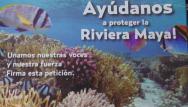 Nada para la destrucción que causa la construcción del Dragon Mart, En riesgo los arrecifes de Puerto Morelos