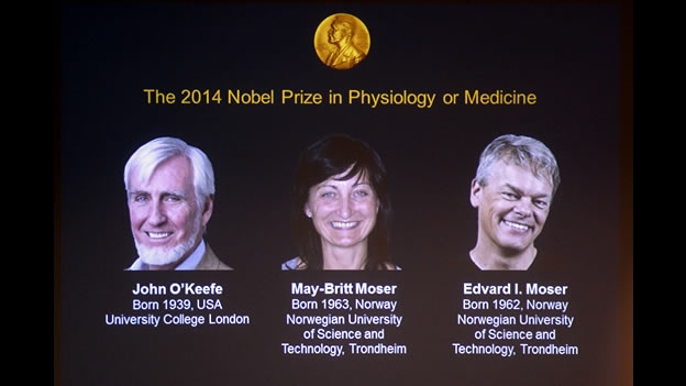 El Nobel de Medicina 2014 es para los descubridores del ‘GPS cerebral’