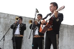 Quintana Roo: Tecnologí­a apaga’ ritmo a los músicos