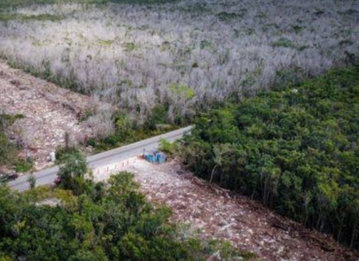 A campesinos de Felipe Carrillo Puerto le expropian más tierras para el Tren Maya