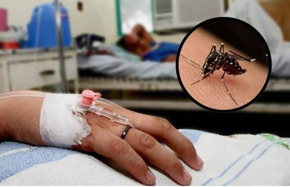 Recorte presupuestal para el combate al dengue está llevando a la muerte a la niñez en la Península de Yucatán