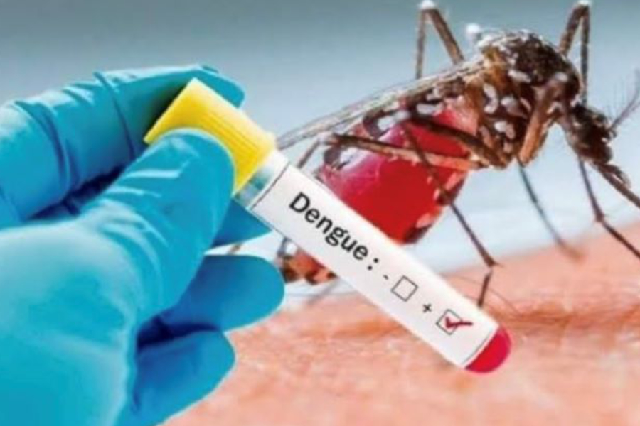 Fundamental la participación de la sociedad en el combate al dengue en Quintana Roo 